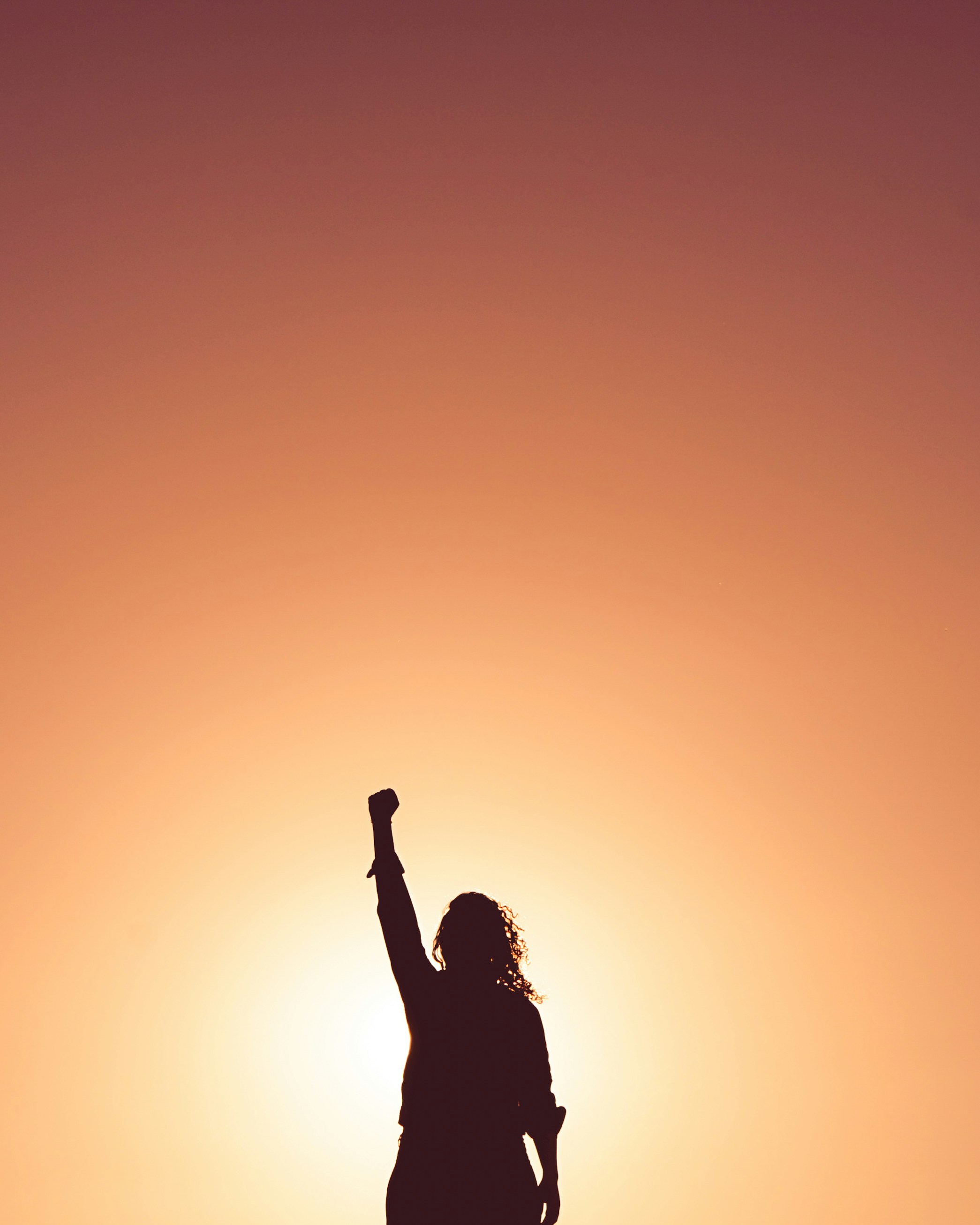 A silhouette of a woman with a fist in the air